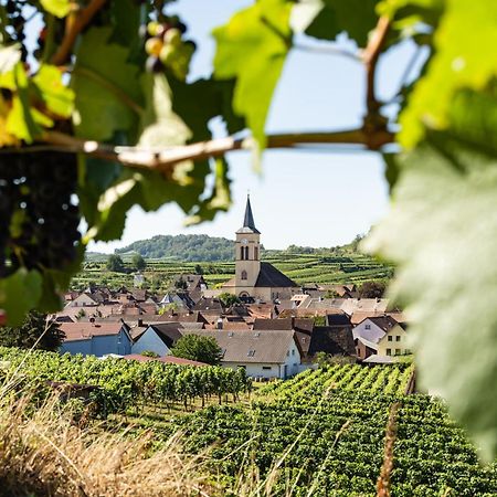 Braviscasa - Ferienresidenz Haus Am Bach Vogtsburg Am Kaiserstuhl Εξωτερικό φωτογραφία